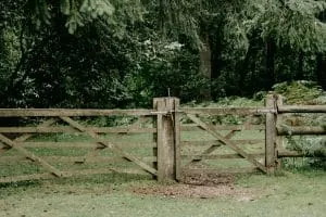 Fence with a gate, illustrating boundaries that allow connection