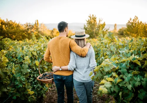 Couple walking together through a vineyard